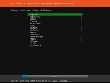 Ubuntu Server 導入画面